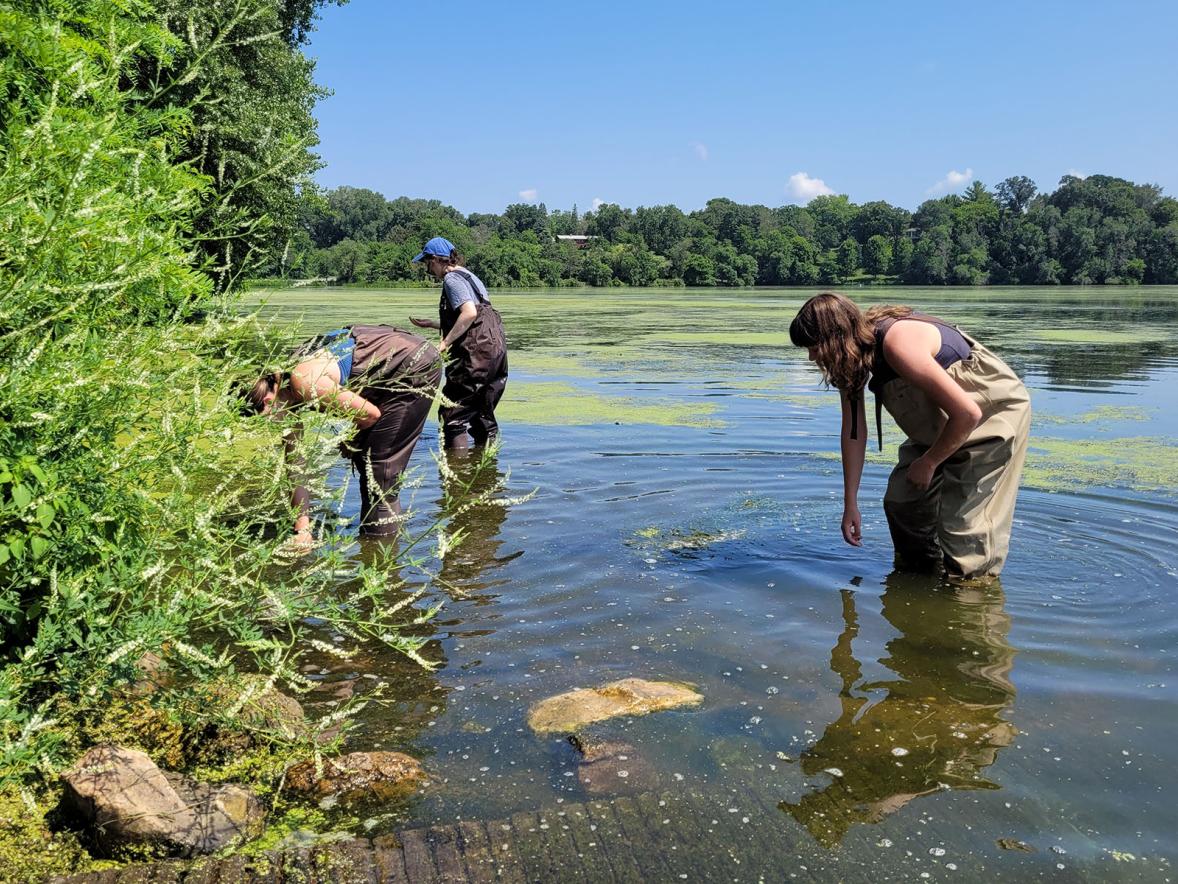 LAKES students collecting invasive species on Lake Menomin