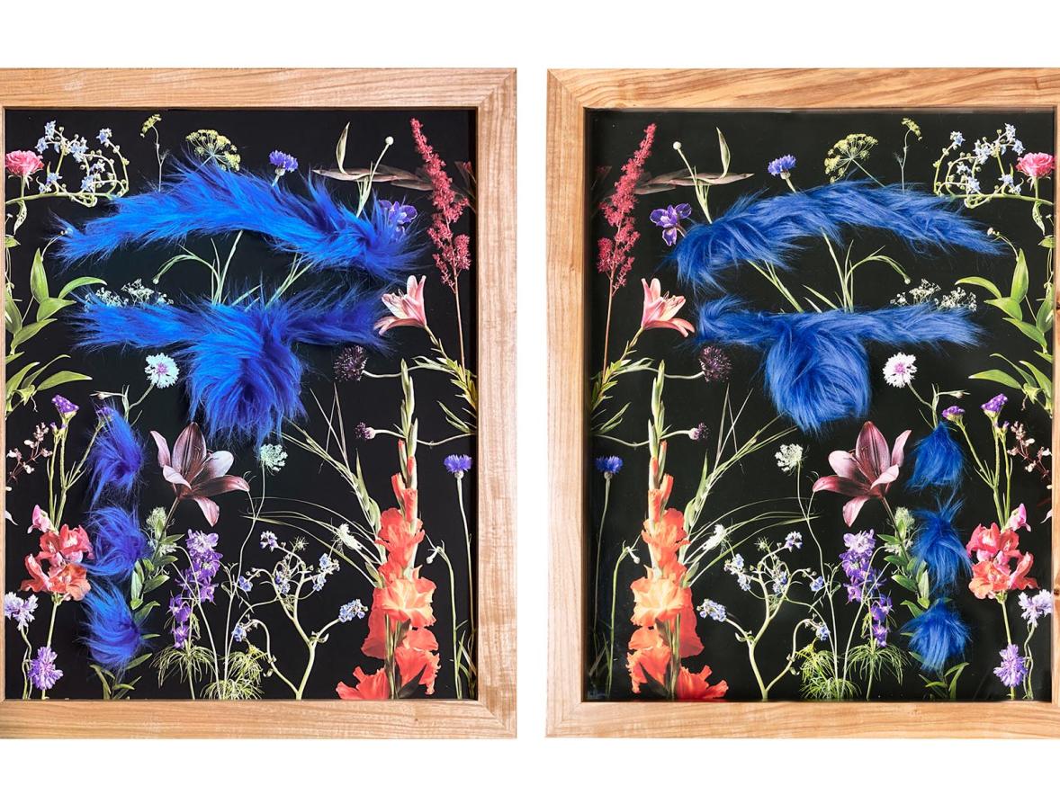 Morgan Barrie, artwork, Eyes of the Garden