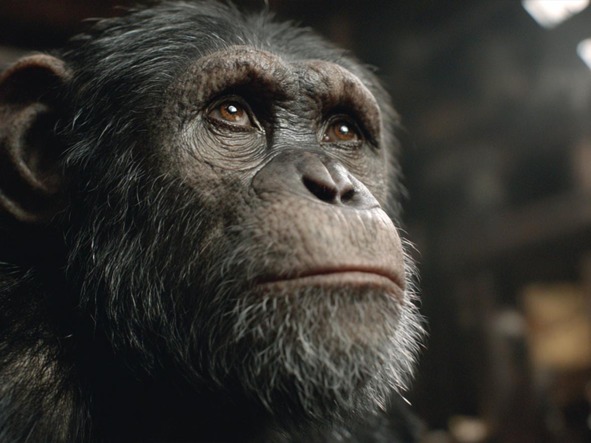 AI reshaping industry: New UW-Stout course sets AI-use as baseline competency in filmmaking Featured Image