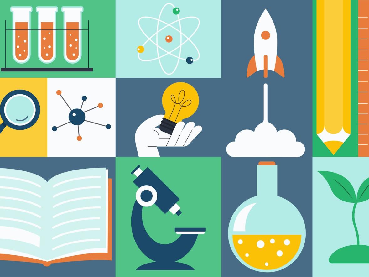 Polytechnic universities focus on practical, career-oriented skills, offering an alternative to traditional universities Featured Image