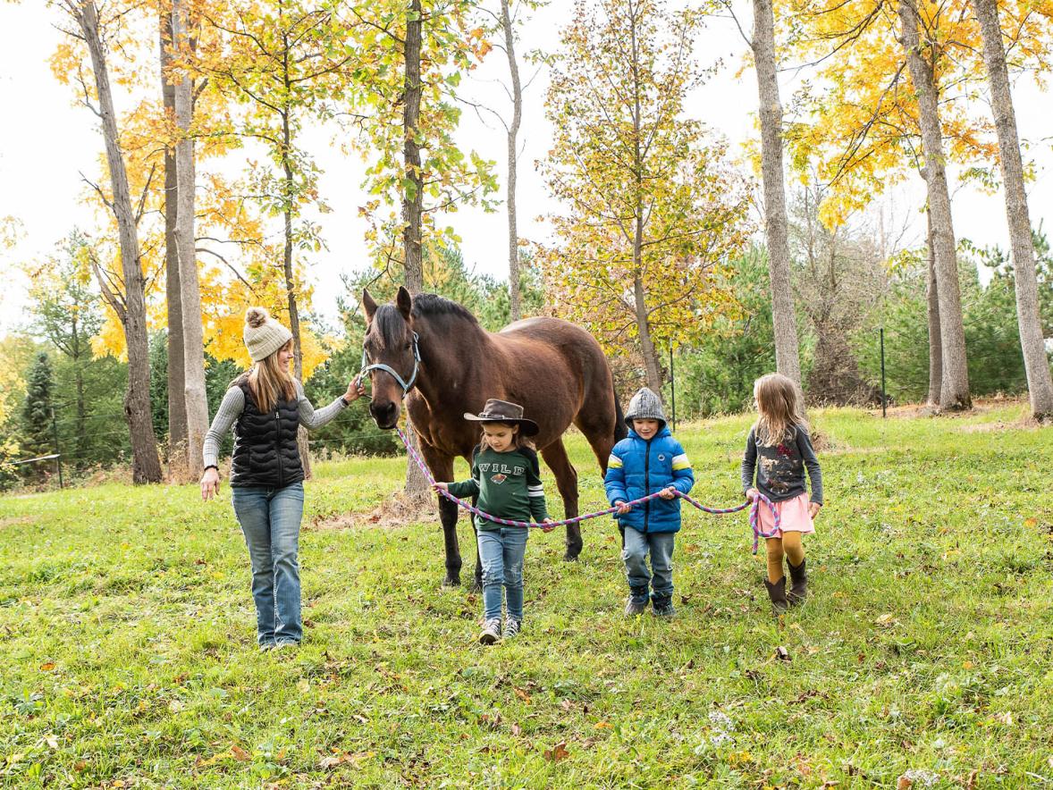 Equine therapy gives clinical mental health students skills to support clients’ growth Featured Image