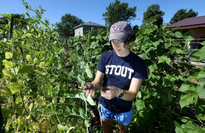 Student harvesting vegetables in the campus garden