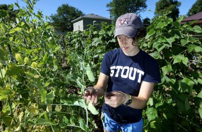 UW-Sprout CSA Campus Garden.