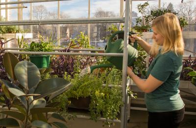 Uw-Stout Greenhouse.