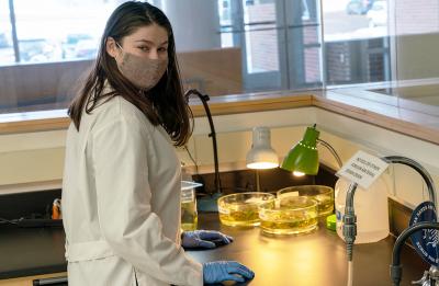 Sara Elmore studying algae in the campus Botany Lab.