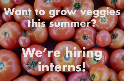 We're Hiring