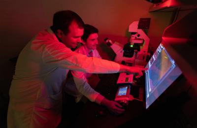 Students in Brian Teague's research lab study how to use yeast to turn cheese whey into ethanol and identify cells related to cancer.