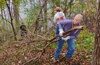 A student hauls brush up the steep lakeshore bank.