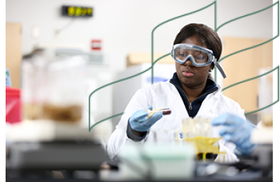 Students perform experiment