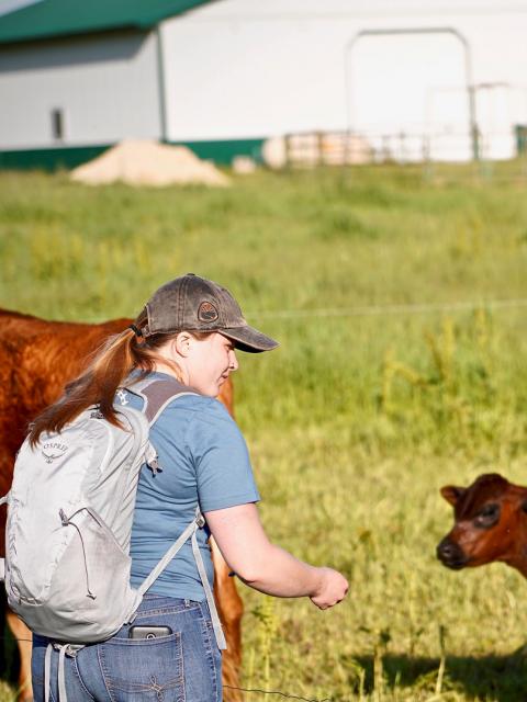Lillian Strehlow walking among cows on a farm