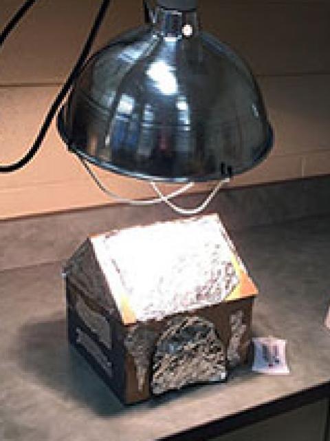Cool Puppy Doghouse prototype under heat lamp.