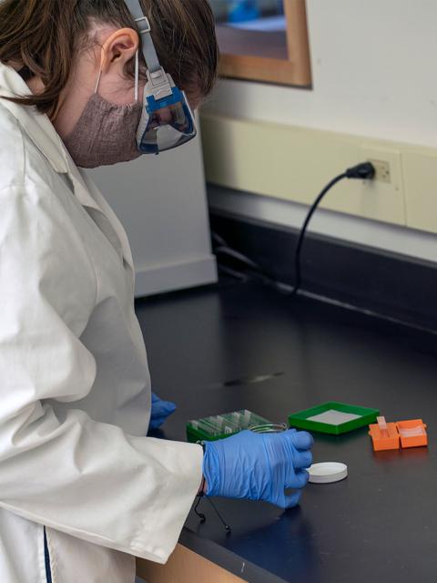 Sara Elmore preparing samples in the campus Zoology Lab.