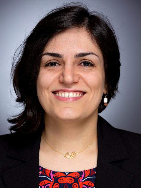 Ellie Nikoo, design assistant professor