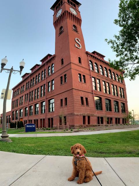 Our sweet friend Millie at the Clock Tower.