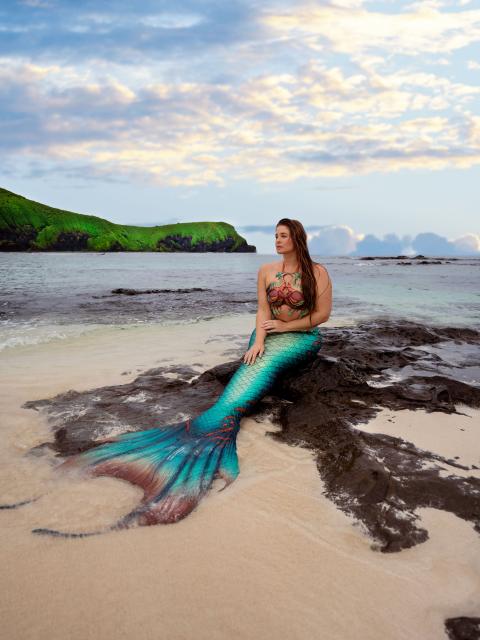 A person wearing a mermaid tail sits on rocks on a sandy beach in front of the ocean and a blue sky.